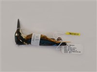 藏品(翠鳥)的圖片